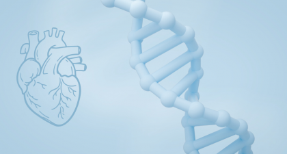 New polygenic risk scores improve early heart disease detection and help clinicians personalize cardiovascular prevention strategies.