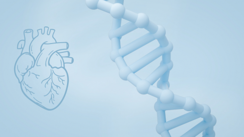 New polygenic risk scores improve early heart disease detection and help clinicians personalize cardiovascular prevention strategies.