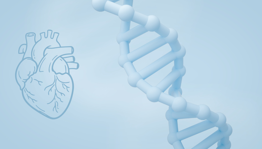 New polygenic risk scores improve early heart disease detection and help clinicians personalize cardiovascular prevention strategies.