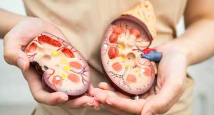 CAR T-Cell Therapy, Kidney Transplant, Highly Sensitized Patients, End-Stage Kidney Disease, Organ Transplantation, cPRA, Clinical Trial, Immunotherapy, Nephrology, Transplant Surgery, Antibody Reduction, Cell Therapy, Kidney Failure, Transplant Immunology, Penn Medicine, antibody reduction therapy, cellular immunotherapy, transplant surgery, kidney failure treatment, BCMA CAR T cells, CD19 CAR T cells, clinical trial kidney transplantation