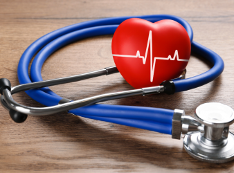 Cardiac Aging, PRDM16, Cardiomyocytes, Heart Aging, Cardiovascular Disease, Single-Nucleus RNA Sequencing, Precision Cardiology, Heart Function, Aging Research, Transcriptomic Aging Clock, Senescence, SASP, Cardiovascular Research, Human Heart Atlas, Science Advances, Cardiomyocytes, Cardiac Function, Precision Cardiology, Aging Heart, Inflammatory Signaling, Gene Expression, Cardiovascular Research