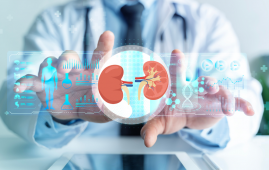 AD-NP1, Kidney Tissue Repair, Renal Regeneration, Chronic Kidney Disease, CKD, ENPP1, Kidney Injury, Acute Kidney Injury, Nephrology, Regenerative Medicine, Monoclonal Antibody, UCLA Research, Renal Fibrosis, Cell Stem Cell, Kidney Function, Tissue Healing, FDA Phase 1 Trial, Kidney Disease Treatment, Biomedical Research, Healthcare News, Kidney Function Improvement, Acute Kidney Injury, Tissue Regeneration, Nephrology Research, FDA Phase 1 Trial