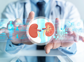 AD-NP1, Kidney Tissue Repair, Renal Regeneration, Chronic Kidney Disease, CKD, ENPP1, Kidney Injury, Acute Kidney Injury, Nephrology, Regenerative Medicine, Monoclonal Antibody, UCLA Research, Renal Fibrosis, Cell Stem Cell, Kidney Function, Tissue Healing, FDA Phase 1 Trial, Kidney Disease Treatment, Biomedical Research, Healthcare News, Kidney Function Improvement, Acute Kidney Injury, Tissue Regeneration, Nephrology Research, FDA Phase 1 Trial