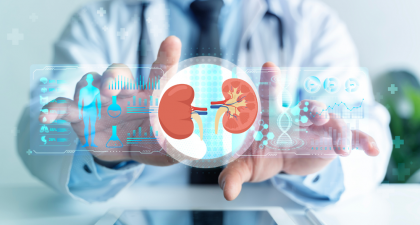 AD-NP1, Kidney Tissue Repair, Renal Regeneration, Chronic Kidney Disease, CKD, ENPP1, Kidney Injury, Acute Kidney Injury, Nephrology, Regenerative Medicine, Monoclonal Antibody, UCLA Research, Renal Fibrosis, Cell Stem Cell, Kidney Function, Tissue Healing, FDA Phase 1 Trial, Kidney Disease Treatment, Biomedical Research, Healthcare News, Kidney Function Improvement, Acute Kidney Injury, Tissue Regeneration, Nephrology Research, FDA Phase 1 Trial