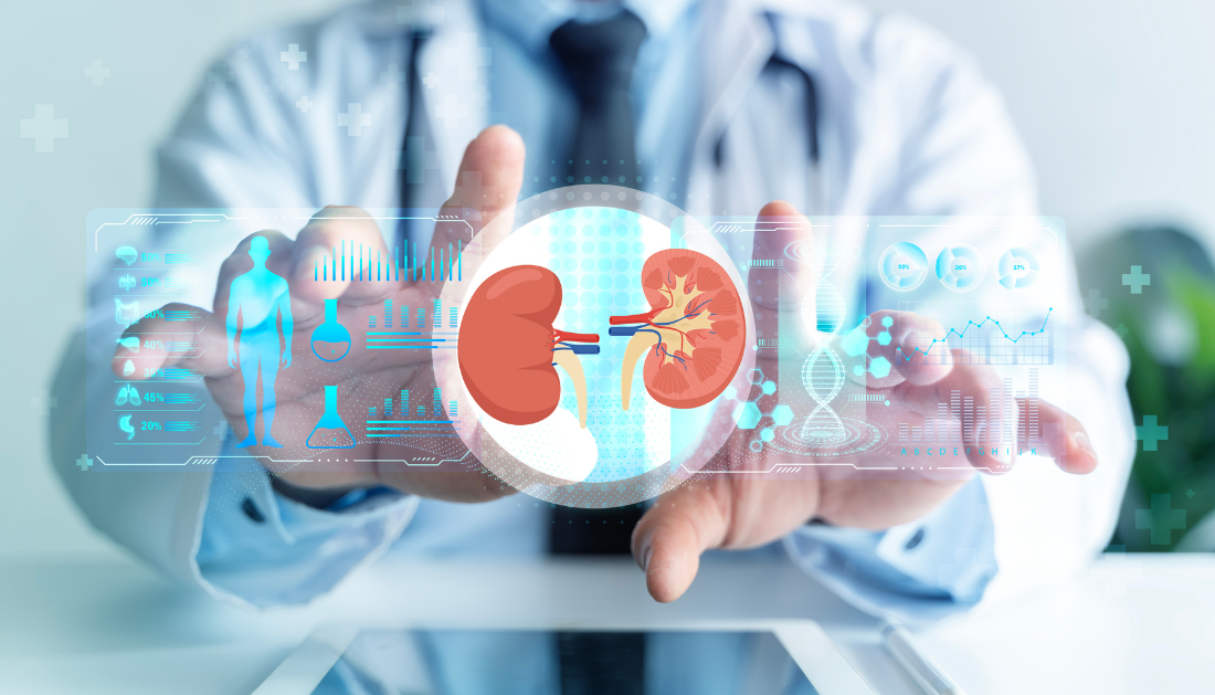 AD-NP1, Kidney Tissue Repair, Renal Regeneration, Chronic Kidney Disease, CKD, ENPP1, Kidney Injury, Acute Kidney Injury, Nephrology, Regenerative Medicine, Monoclonal Antibody, UCLA Research, Renal Fibrosis, Cell Stem Cell, Kidney Function, Tissue Healing, FDA Phase 1 Trial, Kidney Disease Treatment, Biomedical Research, Healthcare News, Kidney Function Improvement, Acute Kidney Injury, Tissue Regeneration, Nephrology Research, FDA Phase 1 Trial