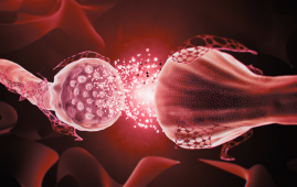 Parkinson's Disease, Alzheimer's Disease, Alzheimer's Pathology, Amyloid Plaques, Neurology, Neurodegenerative Diseases, Mayo Clinic Arizona, European Academy of Neurology, EAN Congress 2026, Cognitive Decline, APOE ε4, Brain Pathology, Women's Health, Movement Disorders, Clinical Neurology, cognitive impairment, APOE ε4, neurology research, brain pathology, movement disorders