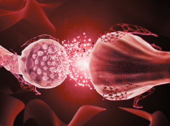 Parkinson's Disease, Alzheimer's Disease, Alzheimer's Pathology, Amyloid Plaques, Neurology, Neurodegenerative Diseases, Mayo Clinic Arizona, European Academy of Neurology, EAN Congress 2026, Cognitive Decline, APOE ε4, Brain Pathology, Women's Health, Movement Disorders, Clinical Neurology, cognitive impairment, APOE ε4, neurology research, brain pathology, movement disorders