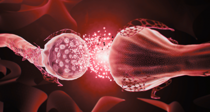Parkinson's Disease, Alzheimer's Disease, Alzheimer's Pathology, Amyloid Plaques, Neurology, Neurodegenerative Diseases, Mayo Clinic Arizona, European Academy of Neurology, EAN Congress 2026, Cognitive Decline, APOE ε4, Brain Pathology, Women's Health, Movement Disorders, Clinical Neurology, cognitive impairment, APOE ε4, neurology research, brain pathology, movement disorders