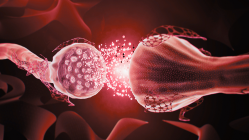 Parkinson's Disease, Alzheimer's Disease, Alzheimer's Pathology, Amyloid Plaques, Neurology, Neurodegenerative Diseases, Mayo Clinic Arizona, European Academy of Neurology, EAN Congress 2026, Cognitive Decline, APOE ε4, Brain Pathology, Women's Health, Movement Disorders, Clinical Neurology, cognitive impairment, APOE ε4, neurology research, brain pathology, movement disorders