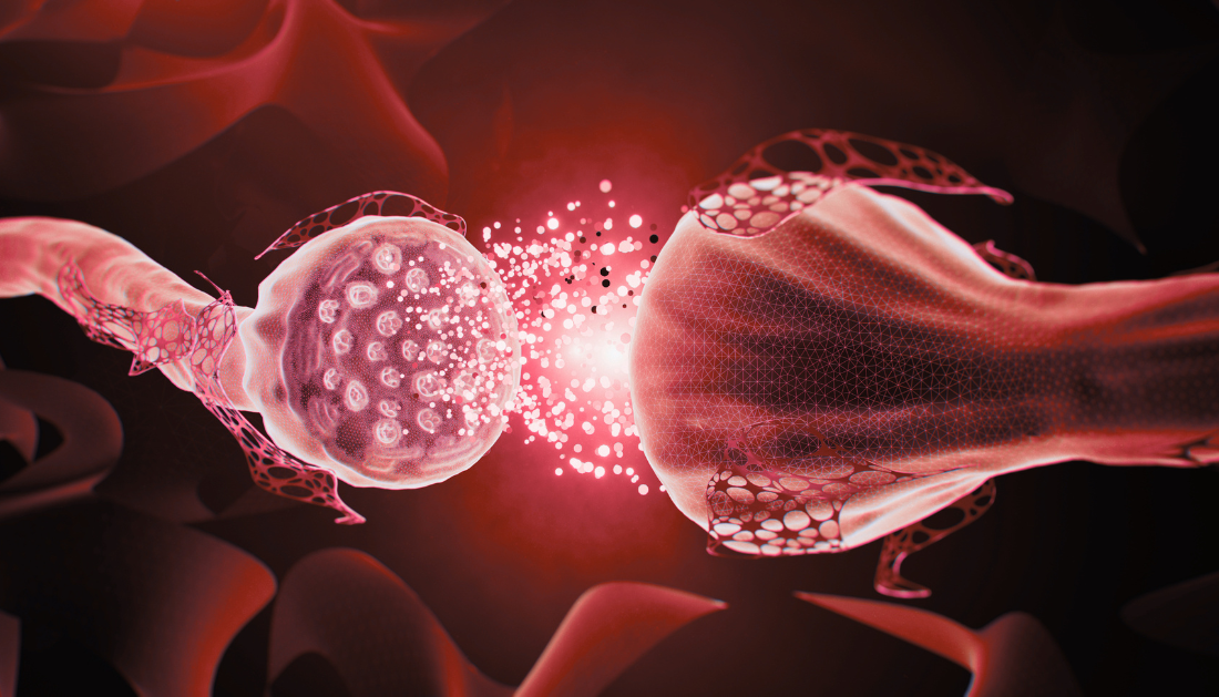 Parkinson's Disease, Alzheimer's Disease, Alzheimer's Pathology, Amyloid Plaques, Neurology, Neurodegenerative Diseases, Mayo Clinic Arizona, European Academy of Neurology, EAN Congress 2026, Cognitive Decline, APOE ε4, Brain Pathology, Women's Health, Movement Disorders, Clinical Neurology, cognitive impairment, APOE ε4, neurology research, brain pathology, movement disorders