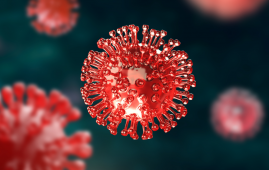 Andes Hantavirus, Hantavirus, SARS-CoV-2, COVID-19, Viral Transmission, Infectious Diseases, Public Health, Rodent-Borne Diseases, Respiratory Infections, Epidemiology, WHO, ECDC, RT-PCR Testing, Viral Shedding, Cruise Ship Outbreak, Pulmonary Disease, Virology, Healthcare News, Disease Surveillance, Pandemic Risk, public health risk, infectious disease research, RT-PCR testing, hantavirus pulmonary syndrome, WHO guidance, ECDC assessment