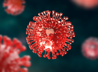 Andes Hantavirus, Hantavirus, SARS-CoV-2, COVID-19, Viral Transmission, Infectious Diseases, Public Health, Rodent-Borne Diseases, Respiratory Infections, Epidemiology, WHO, ECDC, RT-PCR Testing, Viral Shedding, Cruise Ship Outbreak, Pulmonary Disease, Virology, Healthcare News, Disease Surveillance, Pandemic Risk, public health risk, infectious disease research, RT-PCR testing, hantavirus pulmonary syndrome, WHO guidance, ECDC assessment