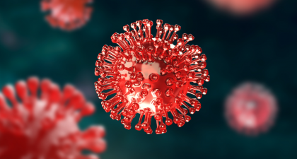 Andes Hantavirus, Hantavirus, SARS-CoV-2, COVID-19, Viral Transmission, Infectious Diseases, Public Health, Rodent-Borne Diseases, Respiratory Infections, Epidemiology, WHO, ECDC, RT-PCR Testing, Viral Shedding, Cruise Ship Outbreak, Pulmonary Disease, Virology, Healthcare News, Disease Surveillance, Pandemic Risk, public health risk, infectious disease research, RT-PCR testing, hantavirus pulmonary syndrome, WHO guidance, ECDC assessment