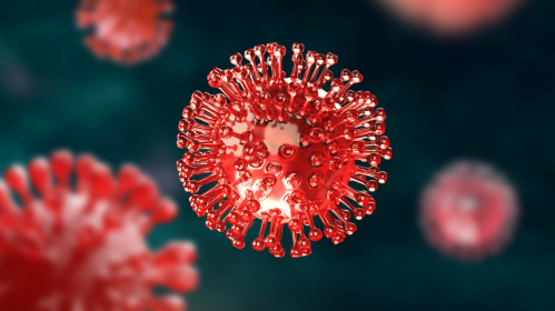 Andes Hantavirus, Hantavirus, SARS-CoV-2, COVID-19, Viral Transmission, Infectious Diseases, Public Health, Rodent-Borne Diseases, Respiratory Infections, Epidemiology, WHO, ECDC, RT-PCR Testing, Viral Shedding, Cruise Ship Outbreak, Pulmonary Disease, Virology, Healthcare News, Disease Surveillance, Pandemic Risk, public health risk, infectious disease research, RT-PCR testing, hantavirus pulmonary syndrome, WHO guidance, ECDC assessment