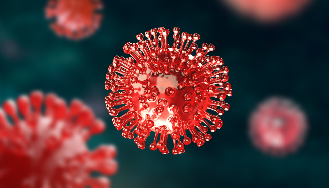 Andes Hantavirus, Hantavirus, SARS-CoV-2, COVID-19, Viral Transmission, Infectious Diseases, Public Health, Rodent-Borne Diseases, Respiratory Infections, Epidemiology, WHO, ECDC, RT-PCR Testing, Viral Shedding, Cruise Ship Outbreak, Pulmonary Disease, Virology, Healthcare News, Disease Surveillance, Pandemic Risk, public health risk, infectious disease research, RT-PCR testing, hantavirus pulmonary syndrome, WHO guidance, ECDC assessment