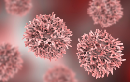 Allergic Diseases, Cancer Risk, Asthma, Immunology, Oncology, Cancer Incidence, Scientific Reports, Meta-analysis, Lung Cancer, Hematological Cancer, Thyroid Cancer, Kidney Cancer, Allergy Research, Cohort Study, Public Health, cohort study, meta-analysis, lung cancer risk, hematological cancer, thyroid cancer, public health research, cancer prevention
