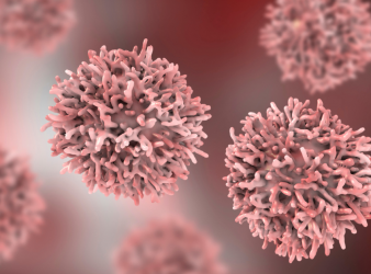 Allergic Diseases, Cancer Risk, Asthma, Immunology, Oncology, Cancer Incidence, Scientific Reports, Meta-analysis, Lung Cancer, Hematological Cancer, Thyroid Cancer, Kidney Cancer, Allergy Research, Cohort Study, Public Health, cohort study, meta-analysis, lung cancer risk, hematological cancer, thyroid cancer, public health research, cancer prevention