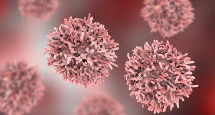 Allergic Diseases, Cancer Risk, Asthma, Immunology, Oncology, Cancer Incidence, Scientific Reports, Meta-analysis, Lung Cancer, Hematological Cancer, Thyroid Cancer, Kidney Cancer, Allergy Research, Cohort Study, Public Health, cohort study, meta-analysis, lung cancer risk, hematological cancer, thyroid cancer, public health research, cancer prevention