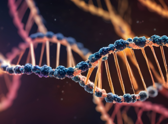 Inherited Genetics, Cancer Susceptibility, Tumor Progression, Precision Oncology, Cancer Genetics, MAPK Pathway, DNA Damage, Liver Cancer, Nature Study, Genomic Medicine, Personalized Medicine, Cancer Research, Whole Genome Duplication, Oncology Research, Genetic Mutations, Cancer Risk, Whole Genome Duplication, Liver Cancer Research, Genomic Medicine, Cancer Prevention, Precision Medicine, Oncology Research