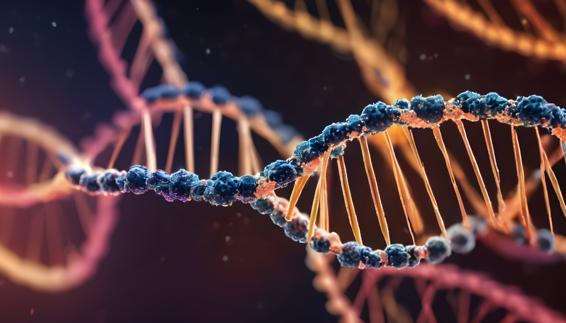 Inherited Genetics, Cancer Susceptibility, Tumor Progression, Precision Oncology, Cancer Genetics, MAPK Pathway, DNA Damage, Liver Cancer, Nature Study, Genomic Medicine, Personalized Medicine, Cancer Research, Whole Genome Duplication, Oncology Research, Genetic Mutations, Cancer Risk, Whole Genome Duplication, Liver Cancer Research, Genomic Medicine, Cancer Prevention, Precision Medicine, Oncology Research