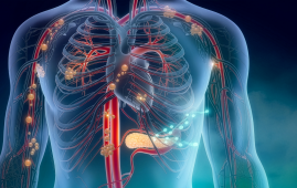 Intrinsic Cardiac Nervous System, ICNS, Cardiology, Heart Rhythm, Cardiac Neurons, Arrhythmia, Cardiac Electrophysiology, Cardiovascular Research, Autonomic Nervous System, Coronary Perfusion, Cardiac Neuromodulation, Sudden Cardiac Arrest, Sympathetic Nervous System, Parasympathetic Nervous System, Cell Journal, coronary perfusion, sympathetic nervous system, parasympathetic nervous system, cardiac research, heart function, sudden cardiac arrest