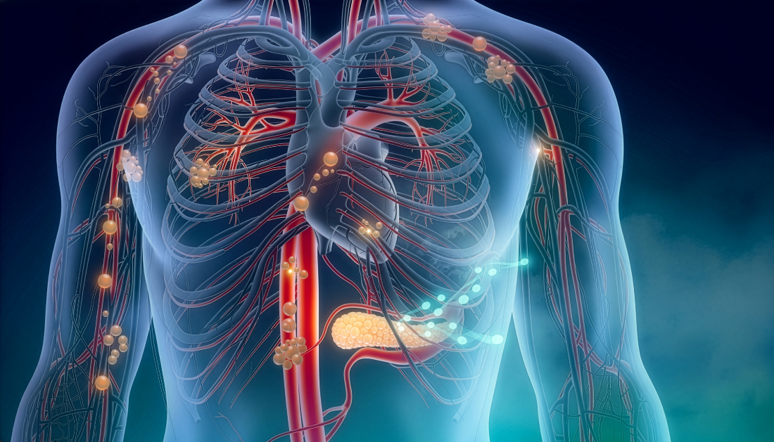 Intrinsic Cardiac Nervous System, ICNS, Cardiology, Heart Rhythm, Cardiac Neurons, Arrhythmia, Cardiac Electrophysiology, Cardiovascular Research, Autonomic Nervous System, Coronary Perfusion, Cardiac Neuromodulation, Sudden Cardiac Arrest, Sympathetic Nervous System, Parasympathetic Nervous System, Cell Journal, coronary perfusion, sympathetic nervous system, parasympathetic nervous system, cardiac research, heart function, sudden cardiac arrest