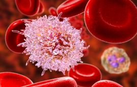 Autophagy Modulation, Cisplatin-Resistant Gastric Cancer, Gastric Cancer, Oncology, Medical Oncology, Chemotherapy Resistance, Cancer Research, Precision Medicine, Immunotherapy, Radiotherapy, Targeted Therapy, Tumor Microenvironment, MicroRNA, Cancer Therapeutics, Gastrointestinal Oncology, precision medicine, immunotherapy, tumor microenvironment, apoptosis, molecular targets, oncology research, gastric cancer therapy