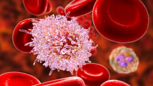 Autophagy Modulation, Cisplatin-Resistant Gastric Cancer, Gastric Cancer, Oncology, Medical Oncology, Chemotherapy Resistance, Cancer Research, Precision Medicine, Immunotherapy, Radiotherapy, Targeted Therapy, Tumor Microenvironment, MicroRNA, Cancer Therapeutics, Gastrointestinal Oncology, precision medicine, immunotherapy, tumor microenvironment, apoptosis, molecular targets, oncology research, gastric cancer therapy