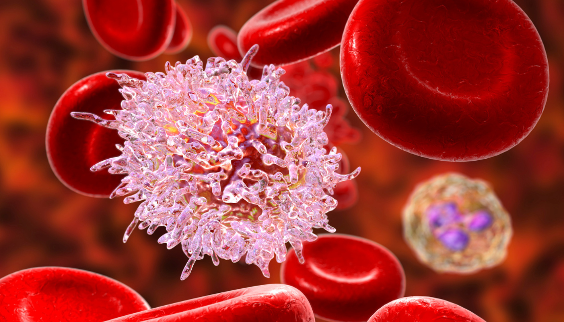 Autophagy Modulation, Cisplatin-Resistant Gastric Cancer, Gastric Cancer, Oncology, Medical Oncology, Chemotherapy Resistance, Cancer Research, Precision Medicine, Immunotherapy, Radiotherapy, Targeted Therapy, Tumor Microenvironment, MicroRNA, Cancer Therapeutics, Gastrointestinal Oncology, precision medicine, immunotherapy, tumor microenvironment, apoptosis, molecular targets, oncology research, gastric cancer therapy