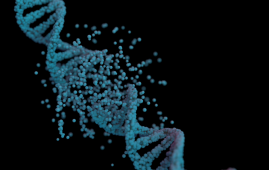 DNA Damage Response, Biological Aging, Cellular Senescence, Aging Research, DNA Damage, Tumor Suppressors, p53, p16INK4a, Inflammaging, SASP, Telomere Attrition, Mitochondrial Dysfunction, Epigenetic Aging, CHIP, Gerontology, senescence-associated secretory phenotype, telomere attrition, mitochondrial dysfunction, epigenetic aging, clonal hematopoiesis, aging biomarkers