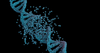 DNA Damage Response, Biological Aging, Cellular Senescence, Aging Research, DNA Damage, Tumor Suppressors, p53, p16INK4a, Inflammaging, SASP, Telomere Attrition, Mitochondrial Dysfunction, Epigenetic Aging, CHIP, Gerontology, senescence-associated secretory phenotype, telomere attrition, mitochondrial dysfunction, epigenetic aging, clonal hematopoiesis, aging biomarkers