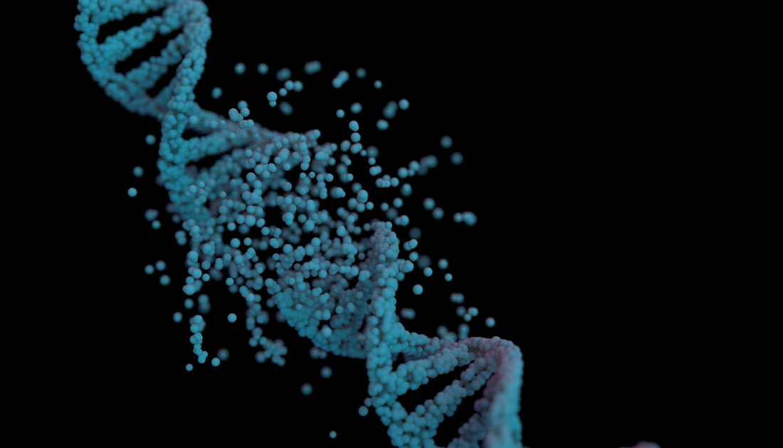 DNA Damage Response, Biological Aging, Cellular Senescence, Aging Research, DNA Damage, Tumor Suppressors, p53, p16INK4a, Inflammaging, SASP, Telomere Attrition, Mitochondrial Dysfunction, Epigenetic Aging, CHIP, Gerontology, senescence-associated secretory phenotype, telomere attrition, mitochondrial dysfunction, epigenetic aging, clonal hematopoiesis, aging biomarkers
