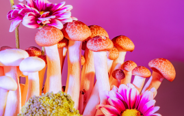 Psilocybin Microdosing, Psilocybin, Psychedelic Research, Psychedelic Therapy, Mental Health, Depression, Anxiety, Clinical Research, Randomized Controlled Trials, Placebo Effect, Patient Safety, Psychiatry, Neuroscience, Substance Use, Frontiers in Psychiatry, Psychedelic therapy, Microdosing benefits, Microdosing risks, Placebo effect, Randomized controlled trials, Psychedelic medicine