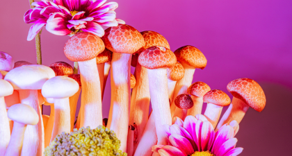 Psilocybin Microdosing, Psilocybin, Psychedelic Research, Psychedelic Therapy, Mental Health, Depression, Anxiety, Clinical Research, Randomized Controlled Trials, Placebo Effect, Patient Safety, Psychiatry, Neuroscience, Substance Use, Frontiers in Psychiatry, Psychedelic therapy, Microdosing benefits, Microdosing risks, Placebo effect, Randomized controlled trials, Psychedelic medicine