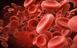 Hormone Replacement Therapy, Oral Hormone Replacement Therapy, Menopausal Hormone Therapy, Venous Thromboembolism, VTE, Menopause, Oral Estrogen Therapy, Transdermal Hormone Therapy, Estrogen Therapy, Progestin, Estradiol, Ischemic Stroke, Myocardial Infarction, Blood Clots, Menopause Research, estrogen therapy, menopause treatment, hormone therapy blood clot risk, oral estradiol, ischemic stroke risk, myocardial infarction, menopausal hormone therapy risks, blood clot risk