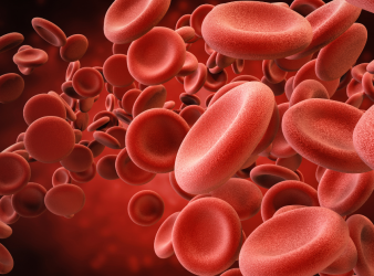 Hormone Replacement Therapy, Oral Hormone Replacement Therapy, Menopausal Hormone Therapy, Venous Thromboembolism, VTE, Menopause, Oral Estrogen Therapy, Transdermal Hormone Therapy, Estrogen Therapy, Progestin, Estradiol, Ischemic Stroke, Myocardial Infarction, Blood Clots, Menopause Research, estrogen therapy, menopause treatment, hormone therapy blood clot risk, oral estradiol, ischemic stroke risk, myocardial infarction, menopausal hormone therapy risks, blood clot risk