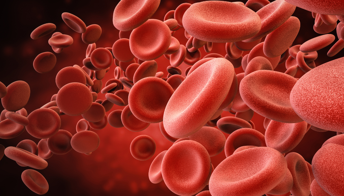 Hormone Replacement Therapy, Oral Hormone Replacement Therapy, Menopausal Hormone Therapy, Venous Thromboembolism, VTE, Menopause, Oral Estrogen Therapy, Transdermal Hormone Therapy, Estrogen Therapy, Progestin, Estradiol, Ischemic Stroke, Myocardial Infarction, Blood Clots, Menopause Research, estrogen therapy, menopause treatment, hormone therapy blood clot risk, oral estradiol, ischemic stroke risk, myocardial infarction, menopausal hormone therapy risks, blood clot risk