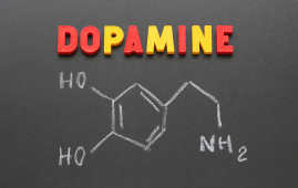 adrenaline and dopamine, psychology of fear, psychology of horror, why people enjoy horror movies, brain response to fear, dopamine and reward system, adrenaline rush, cortisol and stress response, thrill-seeking behavior, science behind fear, perceived safety and fear, hormones and emotions, fear and brain chemistry, emotional processing, psychology of haunted houses