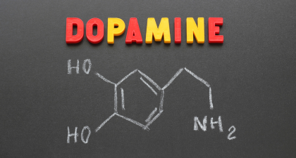 adrenaline and dopamine, psychology of fear, psychology of horror, why people enjoy horror movies, brain response to fear, dopamine and reward system, adrenaline rush, cortisol and stress response, thrill-seeking behavior, science behind fear, perceived safety and fear, hormones and emotions, fear and brain chemistry, emotional processing, psychology of haunted houses