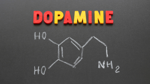adrenaline and dopamine, psychology of fear, psychology of horror, why people enjoy horror movies, brain response to fear, dopamine and reward system, adrenaline rush, cortisol and stress response, thrill-seeking behavior, science behind fear, perceived safety and fear, hormones and emotions, fear and brain chemistry, emotional processing, psychology of haunted houses