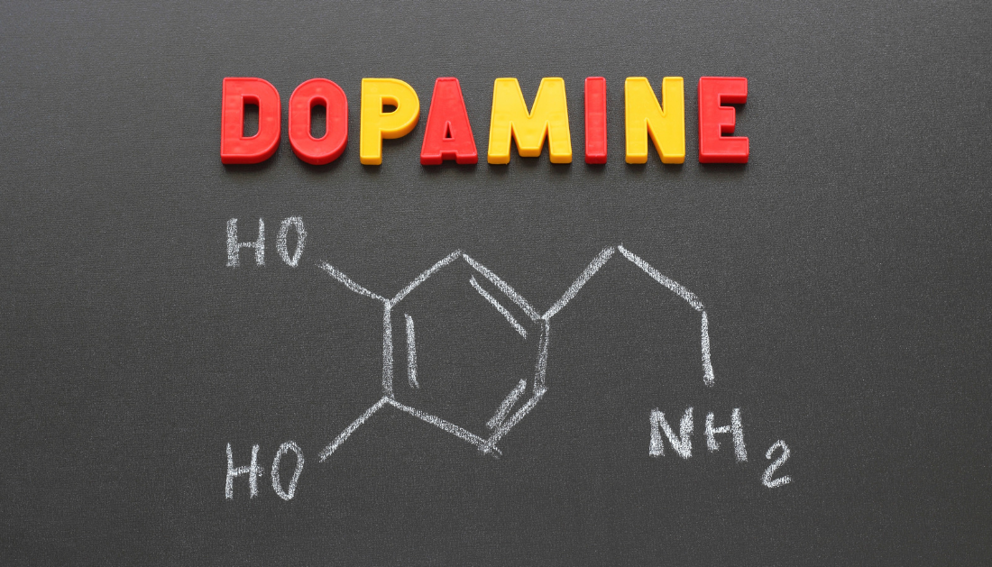 adrenaline and dopamine, psychology of fear, psychology of horror, why people enjoy horror movies, brain response to fear, dopamine and reward system, adrenaline rush, cortisol and stress response, thrill-seeking behavior, science behind fear, perceived safety and fear, hormones and emotions, fear and brain chemistry, emotional processing, psychology of haunted houses